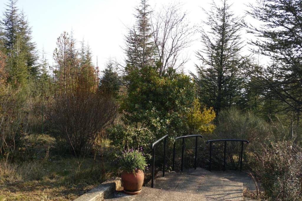 Villa La Lurette, Appartement Et Studio Saint-Étienne-les-Orgues Kültér fotó