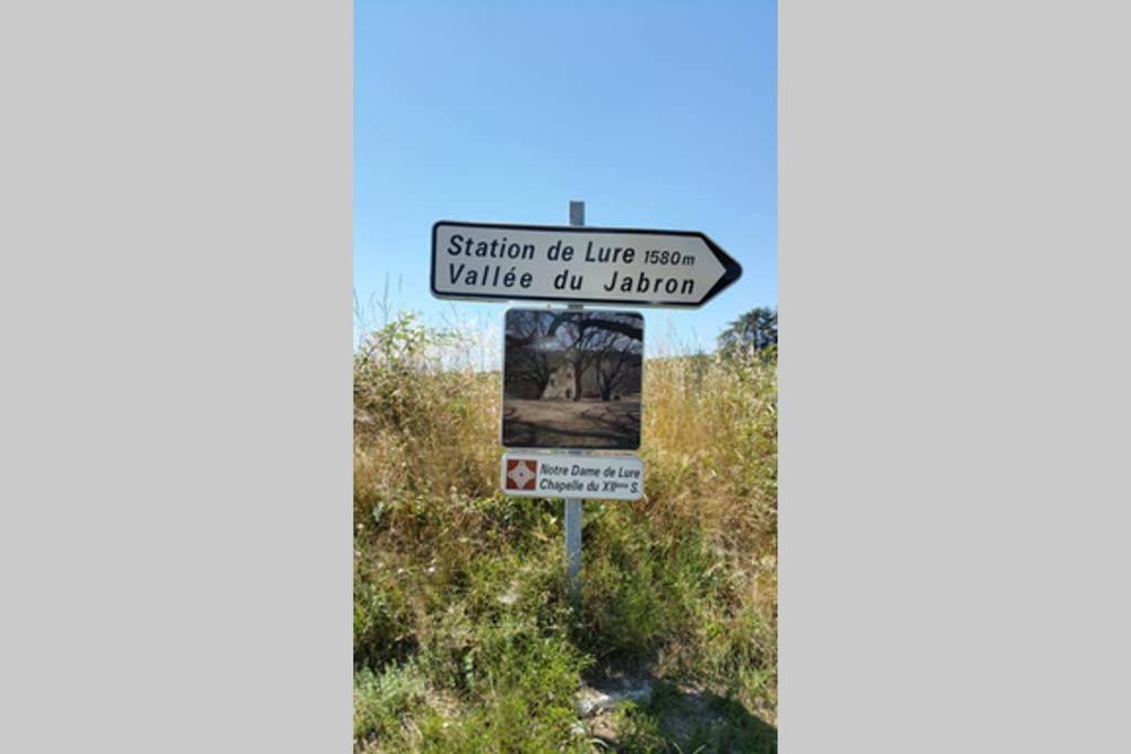 Villa La Lurette, Appartement Et Studio Saint-Étienne-les-Orgues Kültér fotó