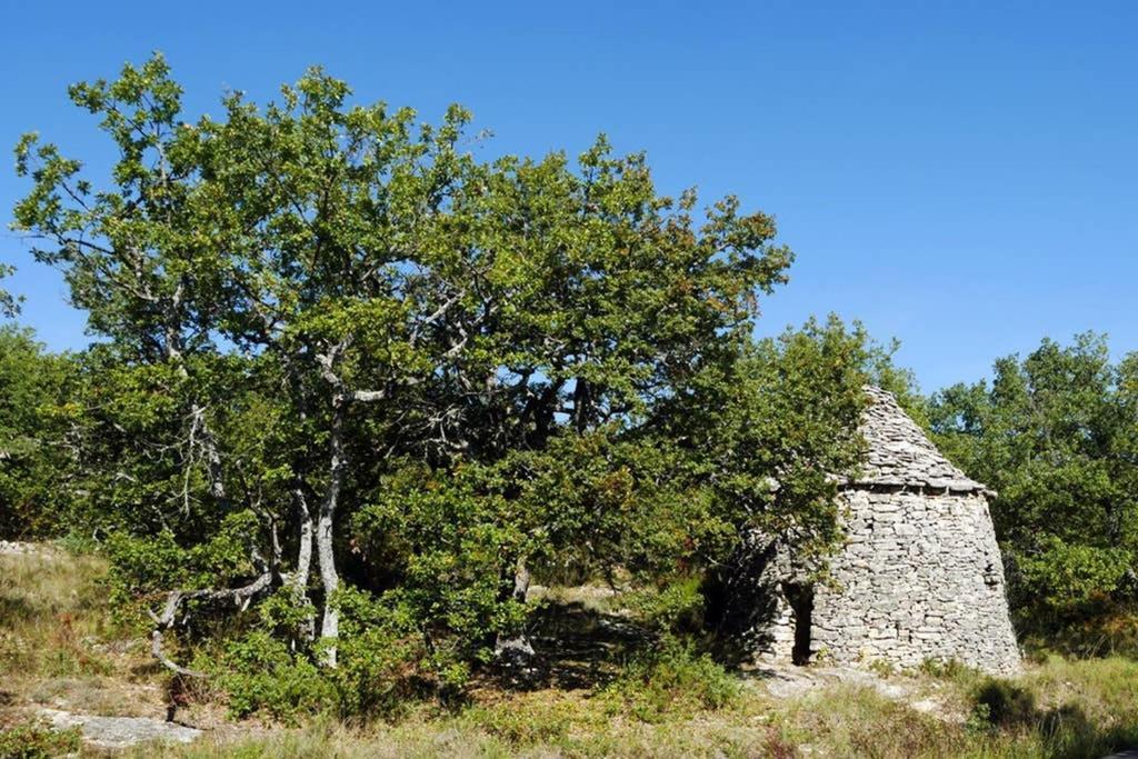 Villa La Lurette, Appartement Et Studio Saint-Étienne-les-Orgues Kültér fotó