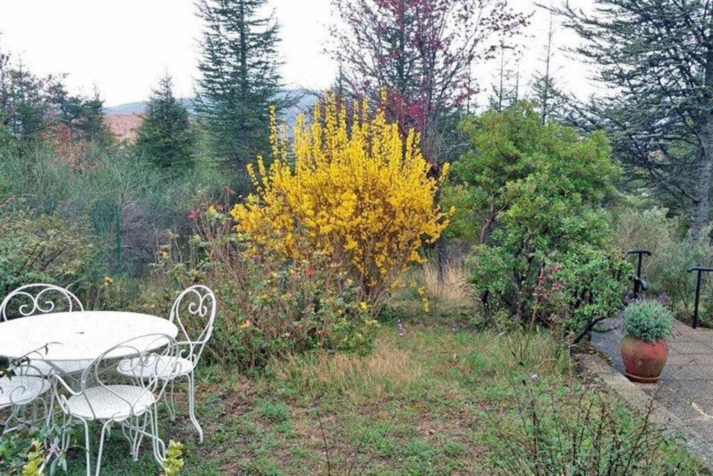 Villa La Lurette, Appartement Et Studio Saint-Étienne-les-Orgues Kültér fotó